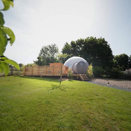 Bulles Odette & Ginette Et Tiny House Suzette "Au Guet Marais" Etape Insolite Paliseul Esterno foto