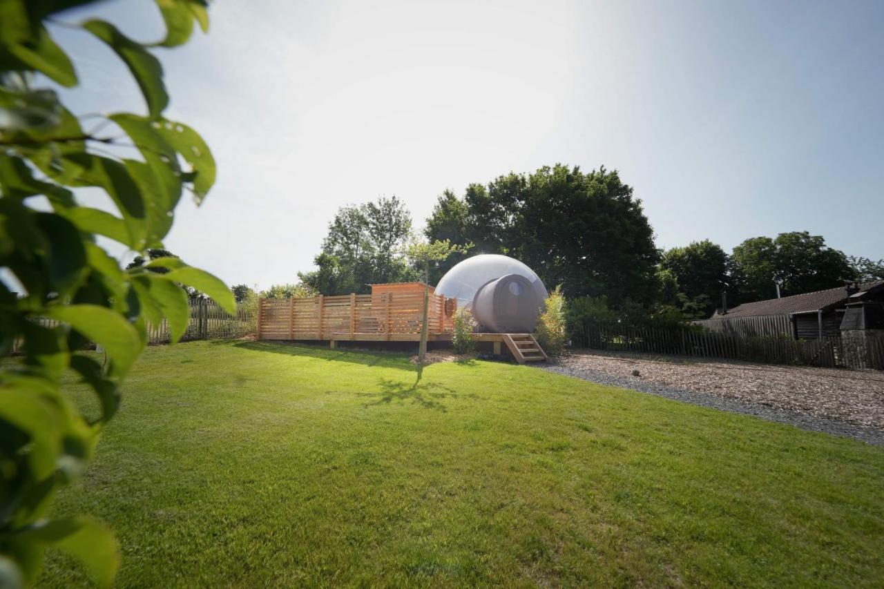 Bulles Odette & Ginette Et Tiny House Suzette "Au Guet Marais" Etape Insolite Paliseul Esterno foto