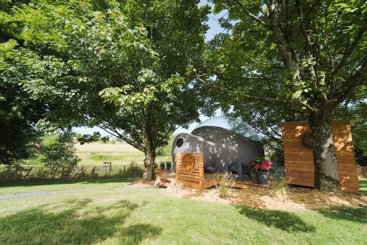 Bulles Odette & Ginette Et Tiny House Suzette "Au Guet Marais" Etape Insolite Paliseul Esterno foto